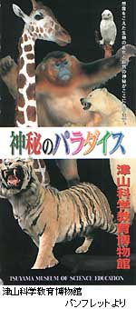 �_��̃p���_�C�X